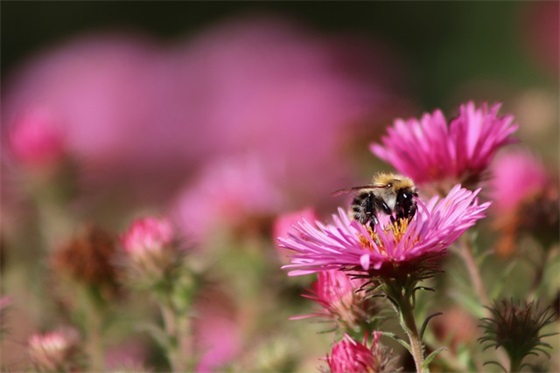 表示嫉妒的句子63句