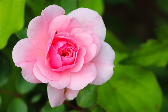 高中励志句子77句