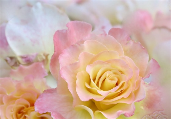 想逃避现实的句子 想逃避现实生活的短句