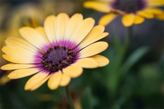 努力干活幽默的句子