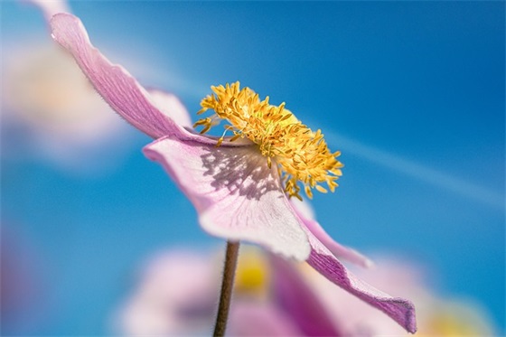 余生一个人走的句子短句 往后的路一个人走的文案