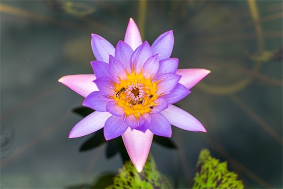 2025年最新励志的句子120句