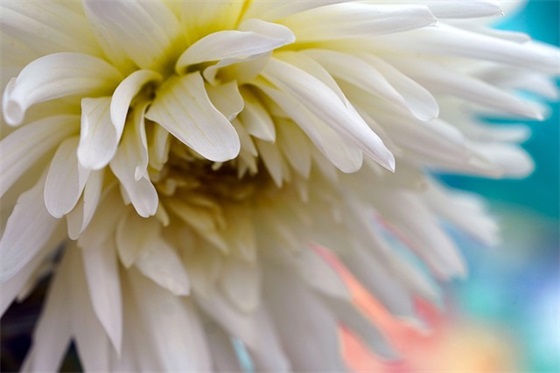 分手后伤心难过的微信句子