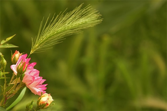 很给力的句子98句