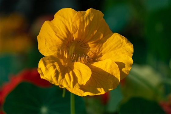 励志努力的句子正能量短句