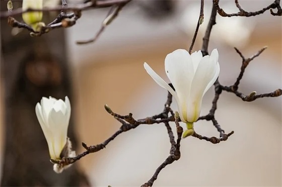 毕业哭到爆的句子