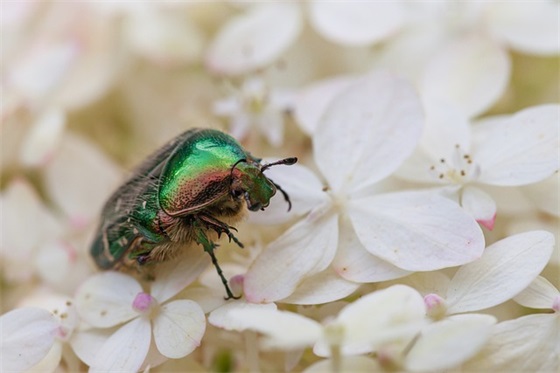 简短激励人的中考励志话语句子 简短激励人的中考励志话语句子