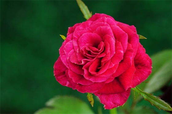 医药市场营销学论文