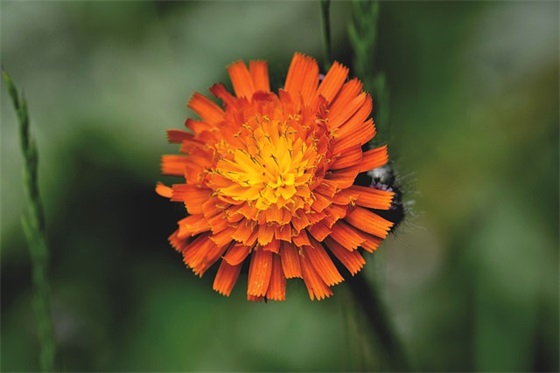 职业化培训心得