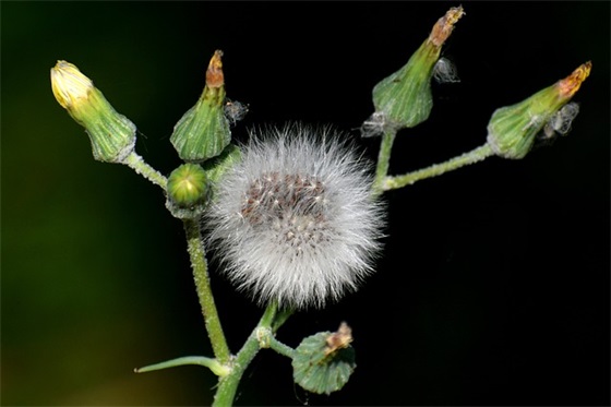 银行账户管理自查报告（通用8篇）