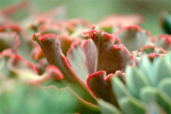 开学第一课观后感（通用33篇）