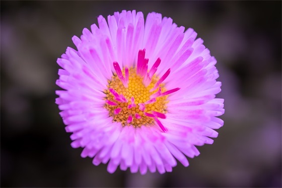 高中入学军训心得(精选15篇)