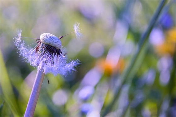 毕业生个人工作总结(15篇)