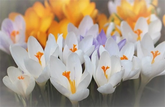 关于委托协议书范文（通用15篇）