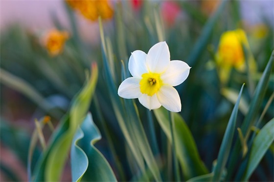 学习雷锋精神感悟（精选19篇）