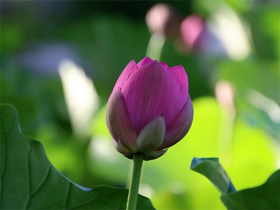 好听的非主流网名