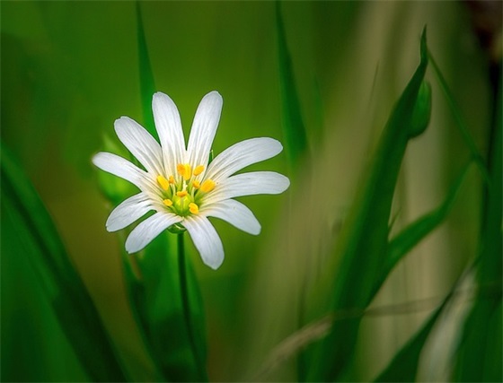 坚硬的反义词是什么 标准答案