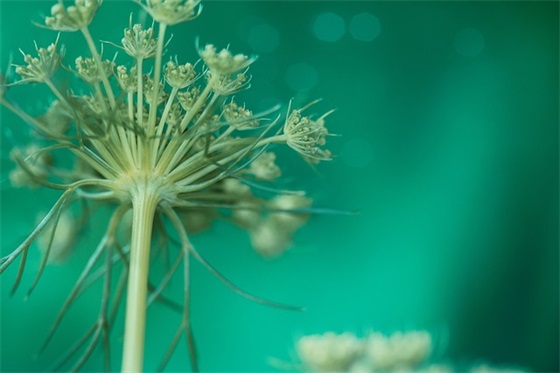 欣赏的近义词是什么