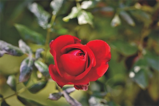 搞笑黄段子句子（176句）