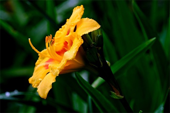 夸奖姐姐的短句子精选175句