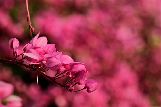 滑冰的好句子精选109句