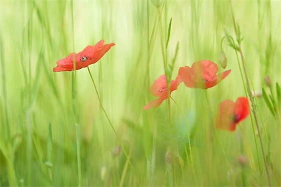 女神经典句子精选301句