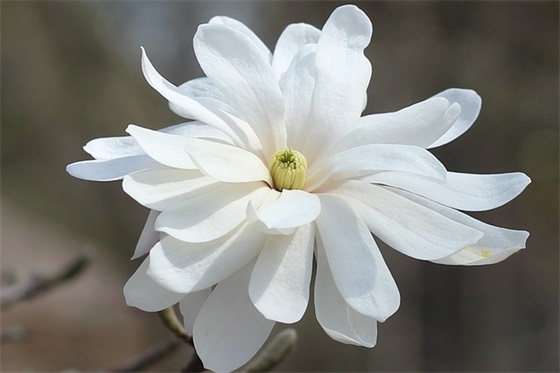 爱你到最后的句子精选168句