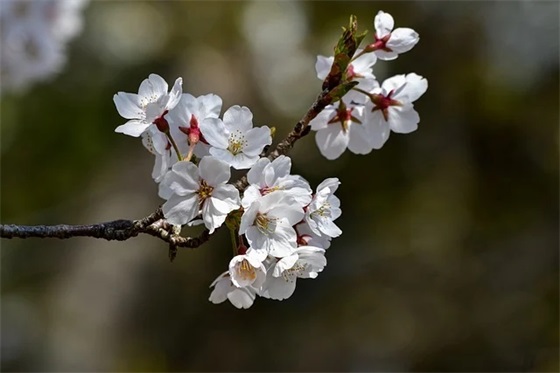 网名古风系男生五个字优选76个