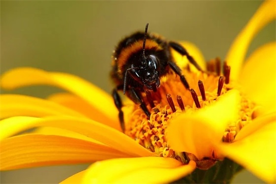 情侣网名一男一女2个字