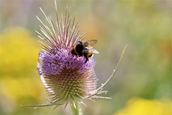 刚刚分手的网名51个