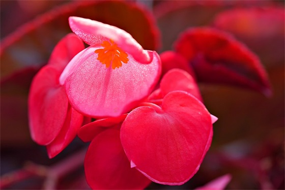 伤感男网名79句