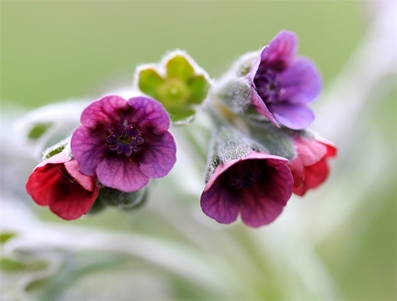 王者荣耀网名特殊符号情侣47个 王者荣耀网名特殊符号情侣47个