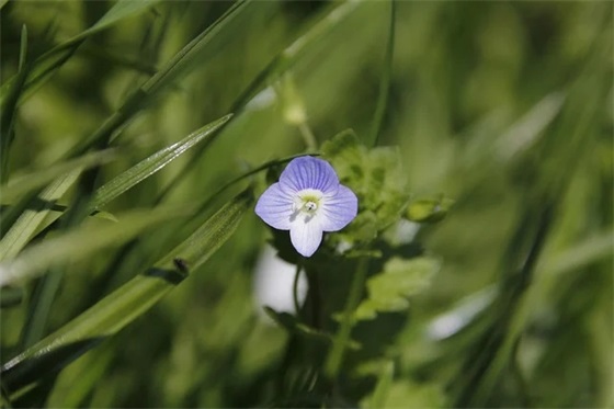 四个字霸气网名男生超拽冷酷【70个精选】