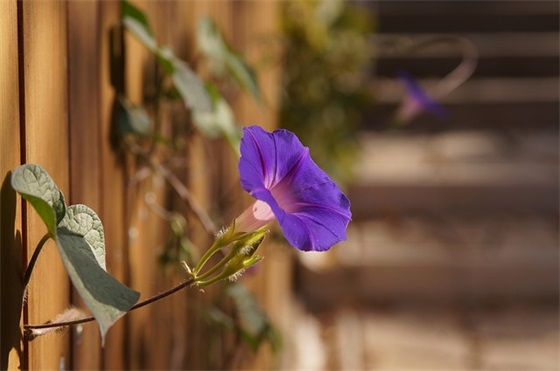 qq炫舞名字超拽霸气400个 qq炫舞名字超拽霸气400个