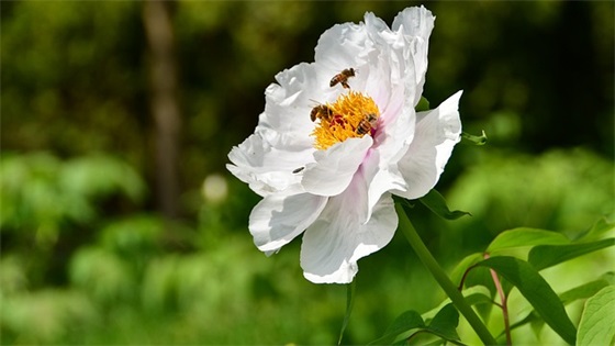 理发店名字大全800个