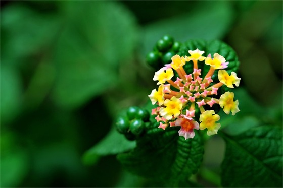 qq飞车名字男400个