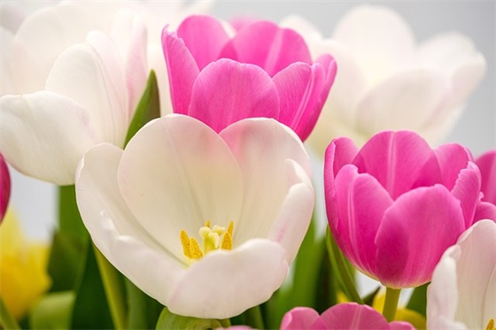 刺激战场名字 刺激战场名字