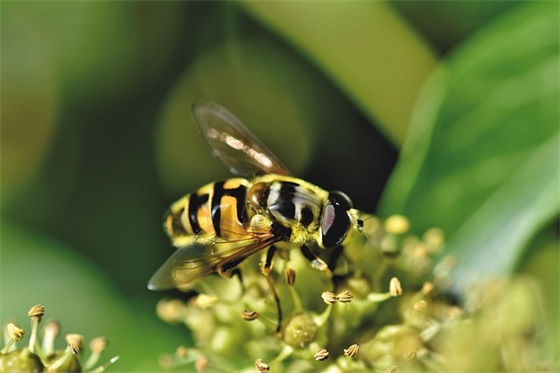 车队霸气统一名字