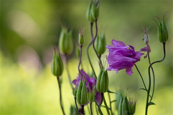游戏霸道名字500个