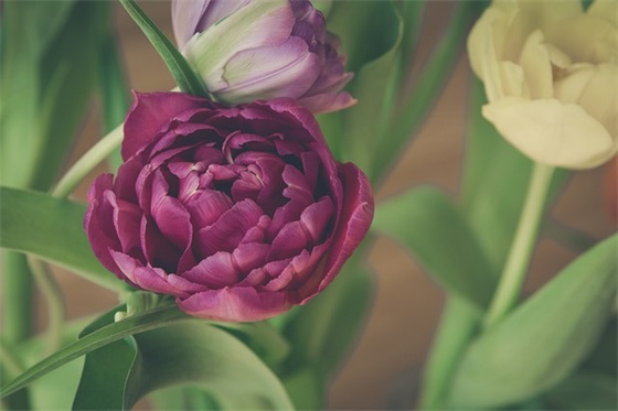 问道游戏名字 问道游戏名字