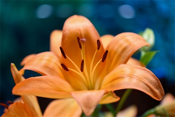 好听的女生游戏名字500个