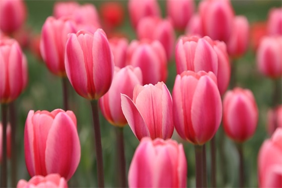 英文游戏名字大全500个