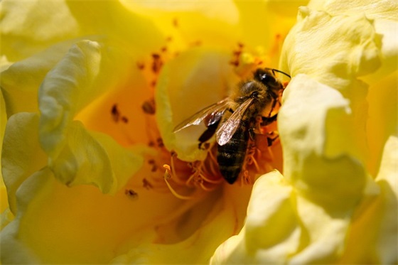 2025中秋节的句子文案