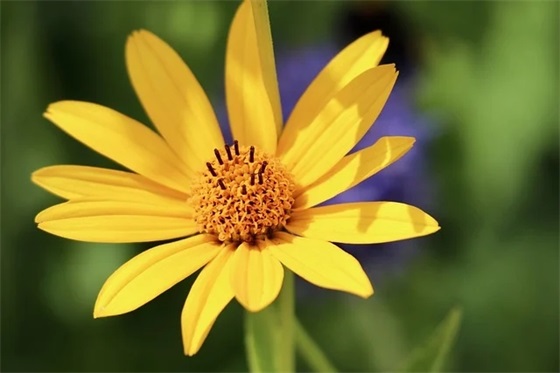 2025年用倾听写一句优美的句子 2025年用倾听写一句优美的句子