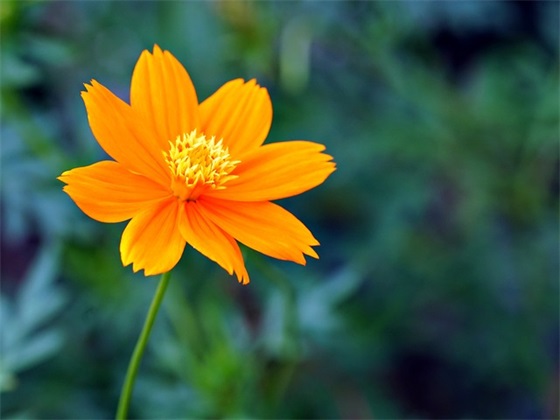 中级类职称论文范例6篇