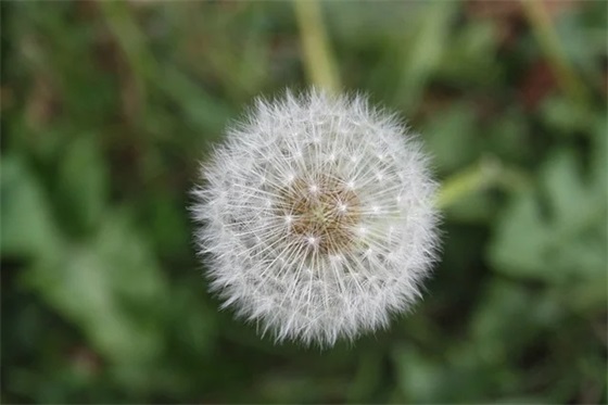 高二数学论文范例6篇