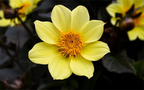 我是小岛范例6篇