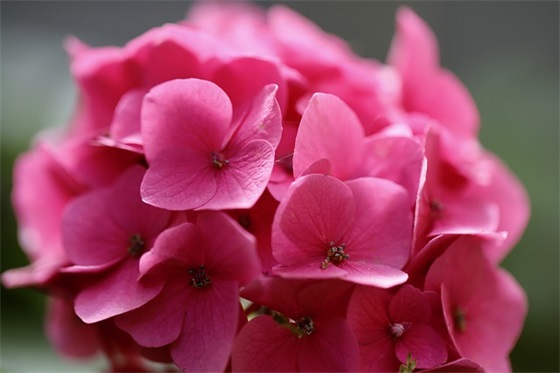 一诺千金作文范例6篇