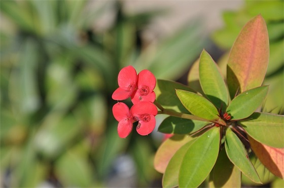 qq炫舞网名符号500例