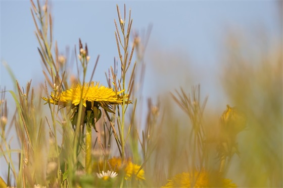 个人自查自纠报告范文